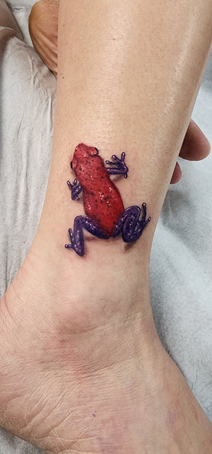 Portfolio Image Xander