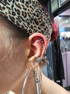 Portfolio Image Michael Crea