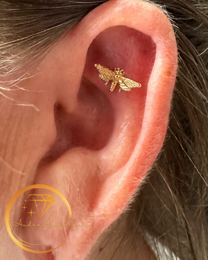 Portfolio Image Audra