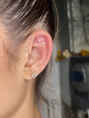 Portfolio Image Marley