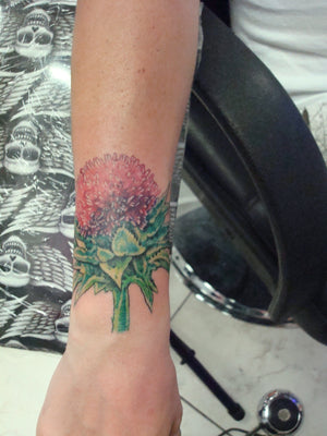 Portfolio Image Earl