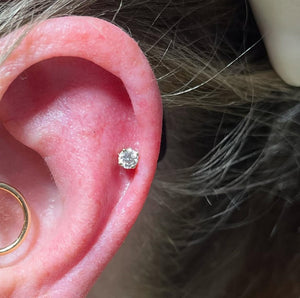 Portfolio Image Hailey