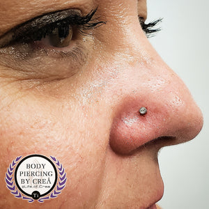 Portfolio Image Michael Crea