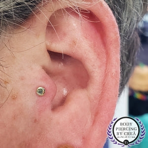 Portfolio Image Michael Crea