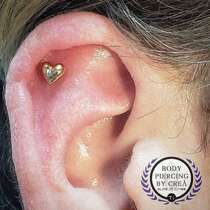 Portfolio Image Michael Crea