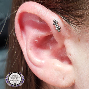 Portfolio Image Michael Crea