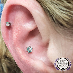 Portfolio Image Michael Crea