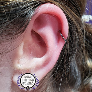 Portfolio Image Michael Crea