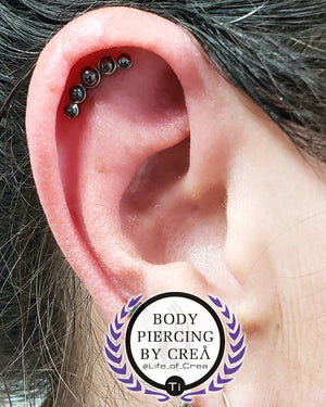 Portfolio Image Michael Crea