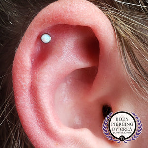 Portfolio Image Michael Crea