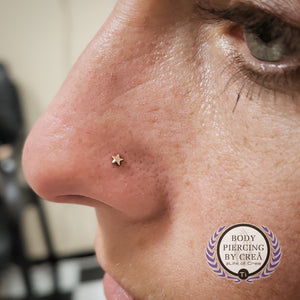 Portfolio Image Michael Crea