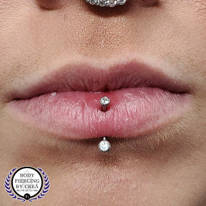 Portfolio Image Michael Crea