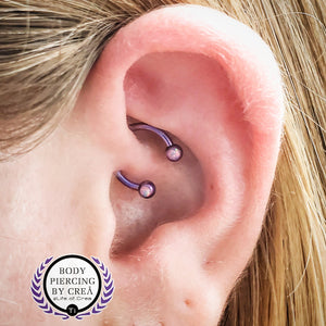 Portfolio Image Michael Crea