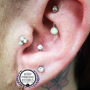 Portfolio Image Michael Crea