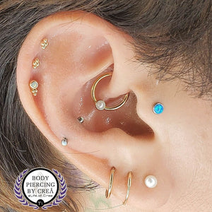 Portfolio Image Michael Crea