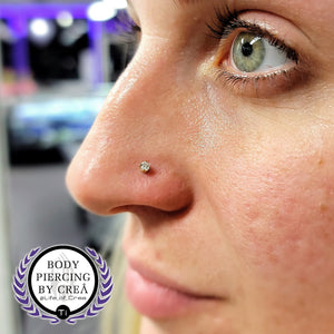 Portfolio Image Michael Crea