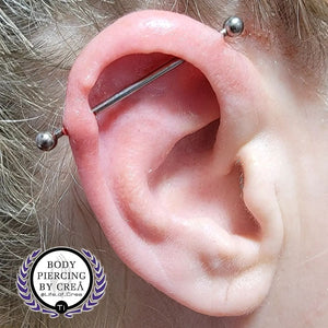 Portfolio Image Michael Crea