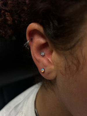 Portfolio Image Lil C