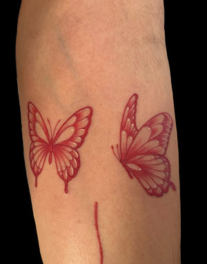 Portfolio Image Behr