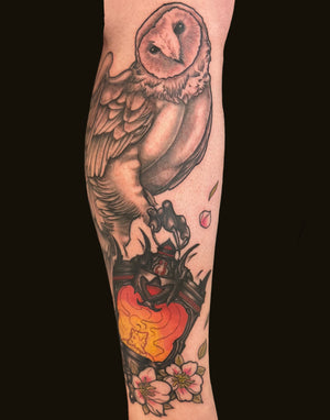 Portfolio Image Behr