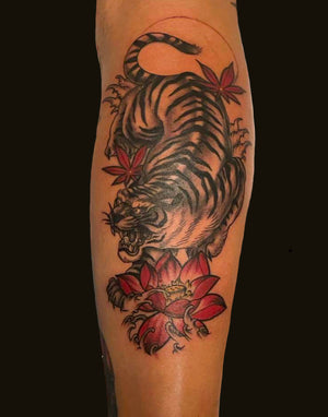 Portfolio Image Behr