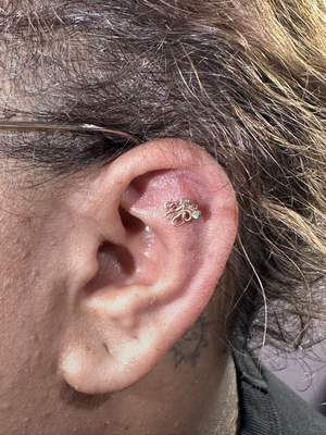 Portfolio Image Devin