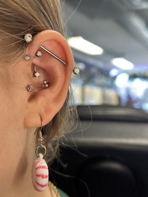 Portfolio Image Devin