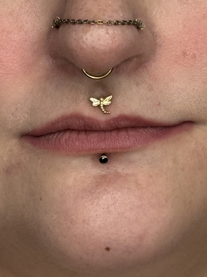 Portfolio Image Marley