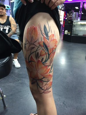 Portfolio Image Earl