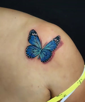 Portfolio Image Xander