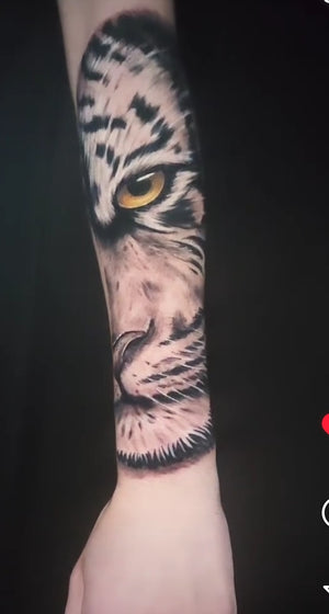 Portfolio Image Xander