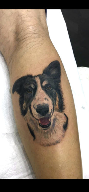 Portfolio Image Xander