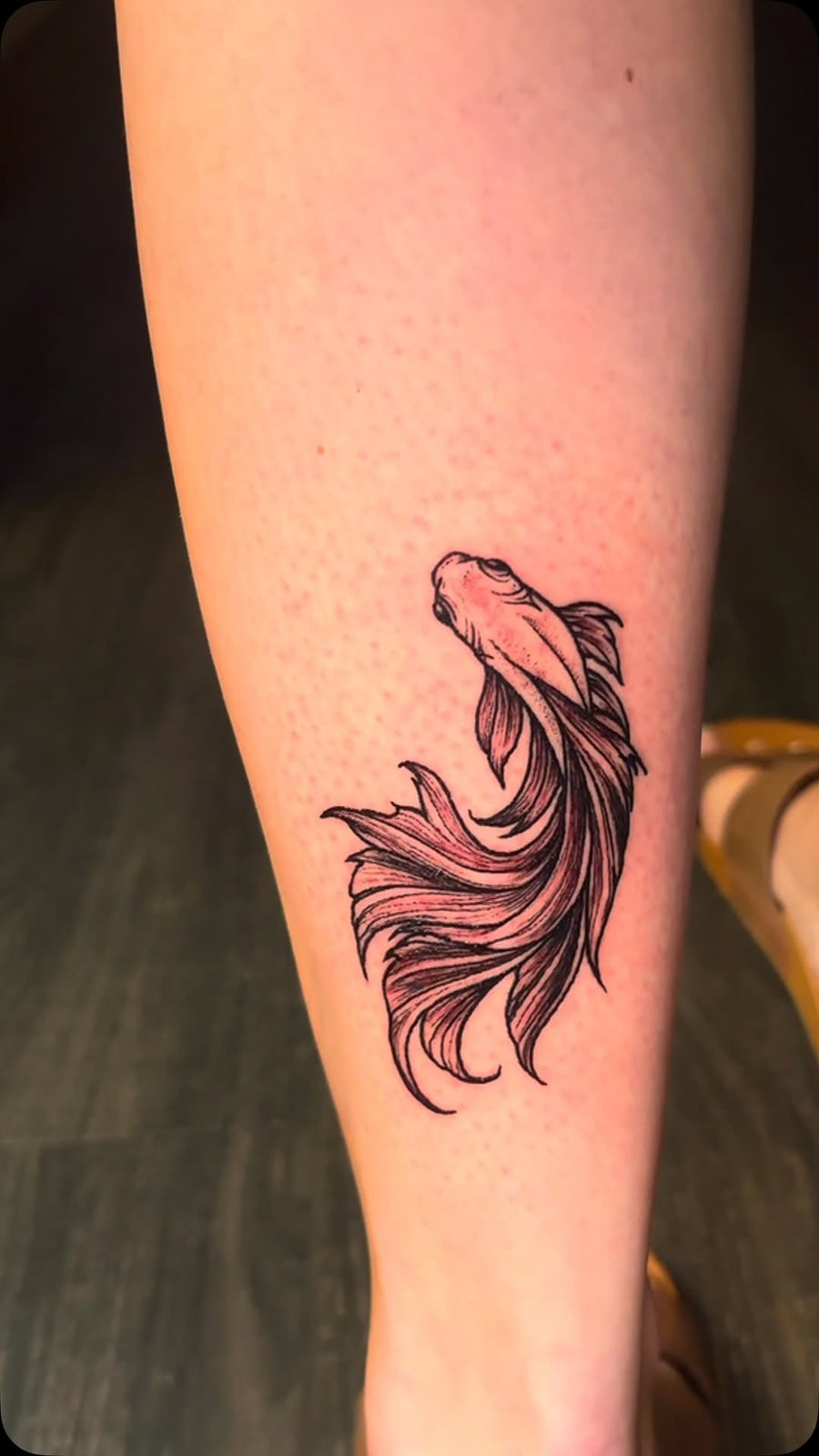 Tattoo by Manny at Z-Edge Gulf Gate: betta fish black red forearm