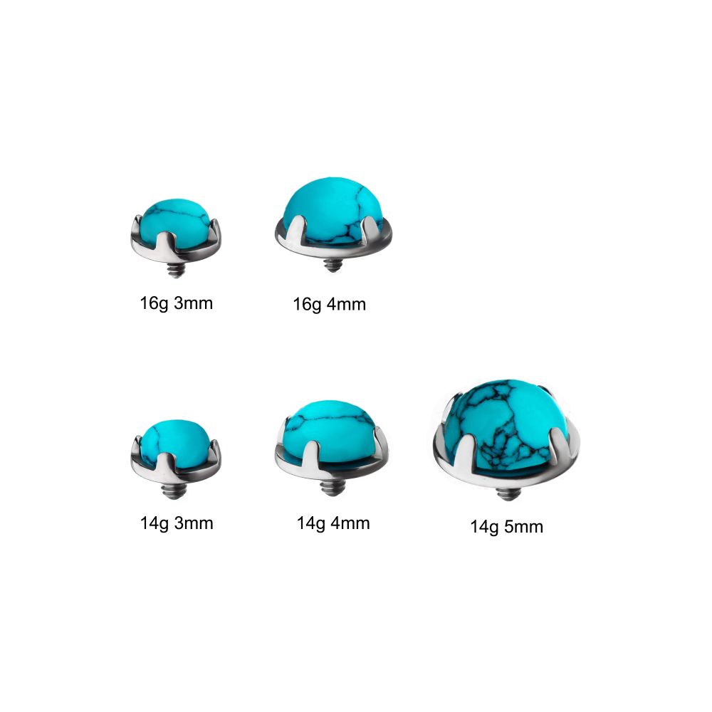 Titanium Internally Threaded Prong Set Turquoise Tops
