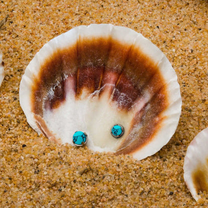 Titanium Internally Threaded Prong Set Turquoise Tops