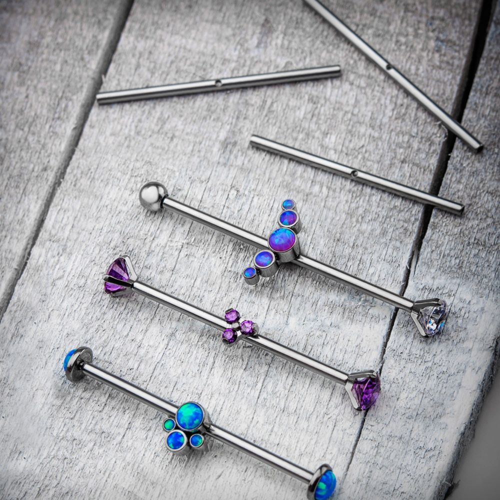 Titanium Single Thread Drilled Industrial Barbells
