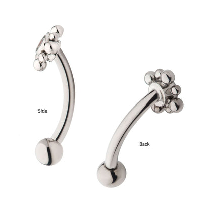 Titanium Internally Threaded with Beads Around Bezel Set Clear AAA CZ Flower Fixed Top Curved Barbell