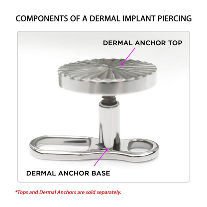 Titanium Internally Threaded with 2 Hole Dermal Anchor Base with 14g Threading