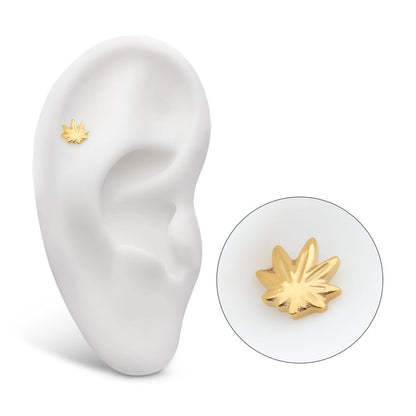 24Kt Gold PVD Titanium Internally Threaded Pot Leaf Top