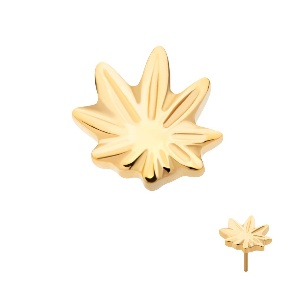 24Kt Gold PVD Titanium Threadless Pot Leaf Top