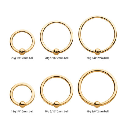 24Kt Gold PVD Titanium Captive Bead Ring with Attached Ball