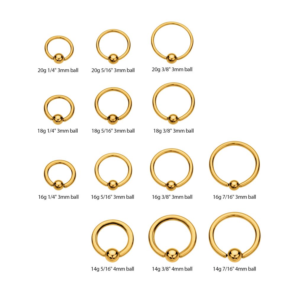 24KT Gold PVD Titanium Basic Captive Bead Ring