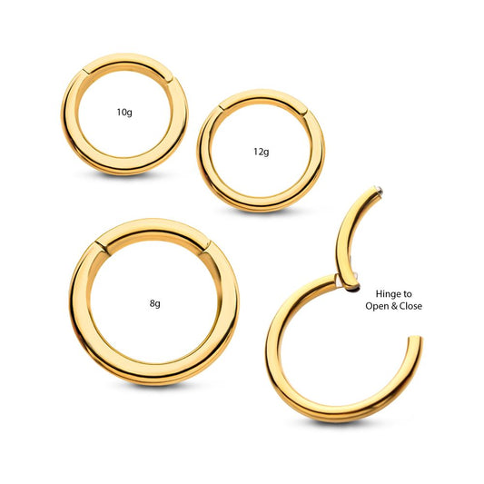24KT Gold PVD Titanium Hinged Segment Clicker (12g to 8g)