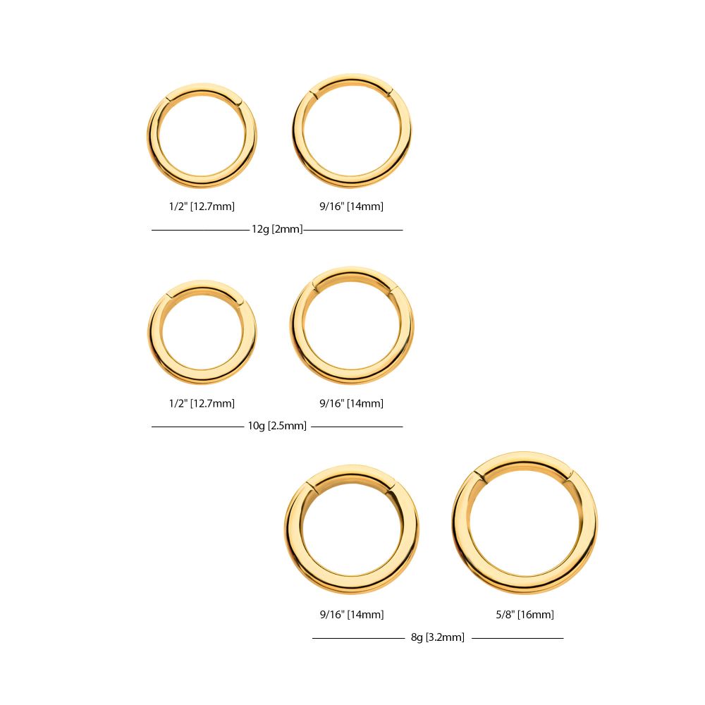 24KT Gold PVD Titanium Hinged Segment Clicker (12g to 8g)