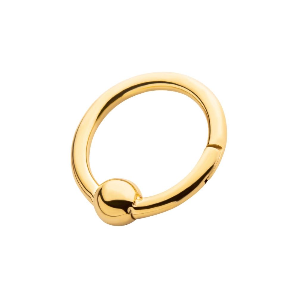 24KT Gold PVD Titanium Ball Hinged Segment Ring