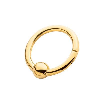 24KT Gold PVD Titanium Ball Hinged Segment Ring