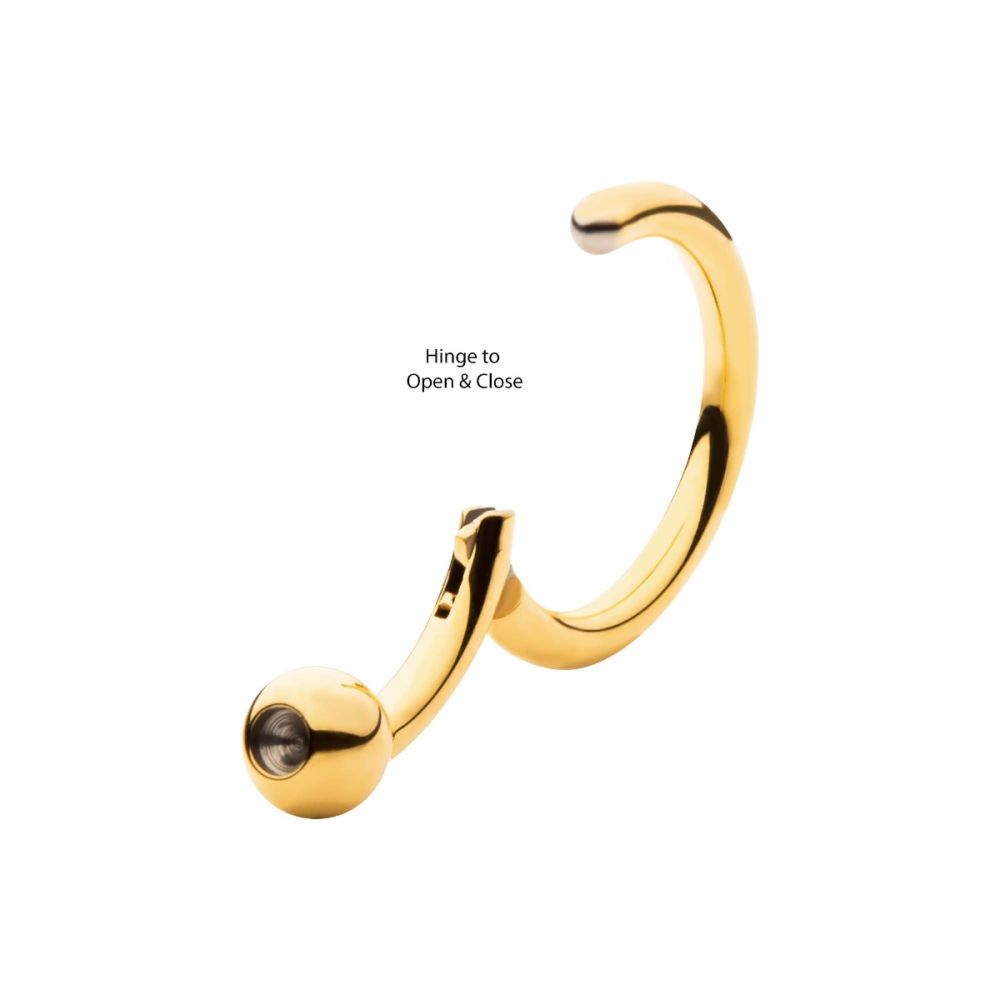 24KT Gold PVD Titanium Ball Hinged Segment Ring