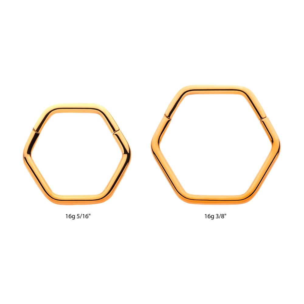 Hexagon Shape 24Kt Gold PVD Titanium Front Facing Hinged Segment Clicker