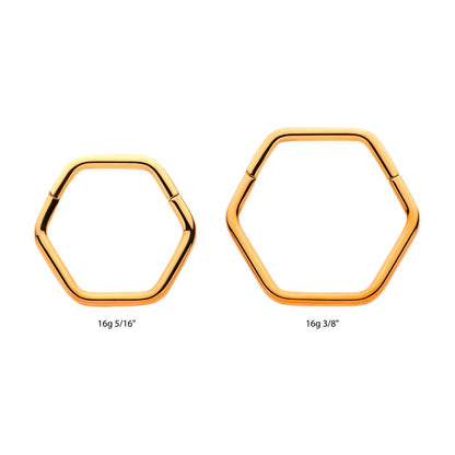 Hexagon Shape 24Kt Gold PVD Titanium Front Facing Hinged Segment Clicker