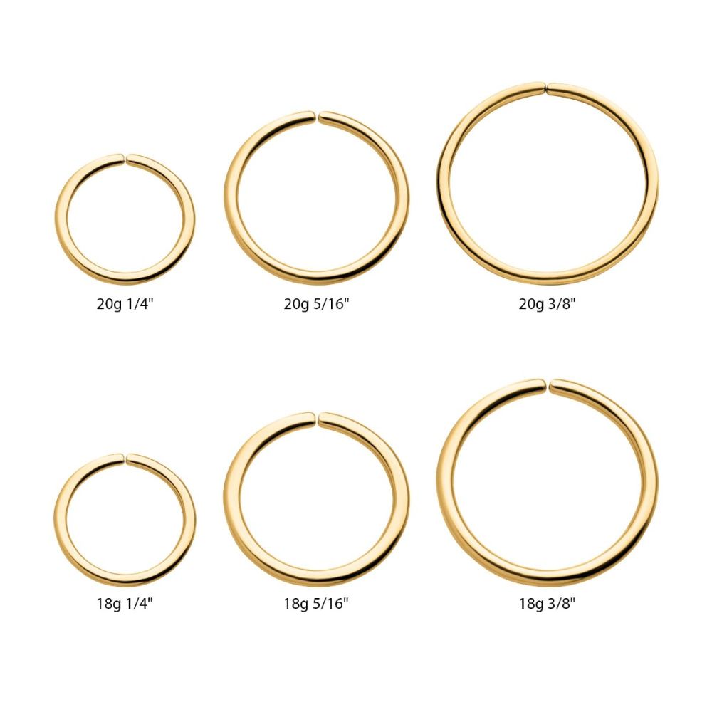 24Kt Gold PVD Titanium Seamless Split Ring